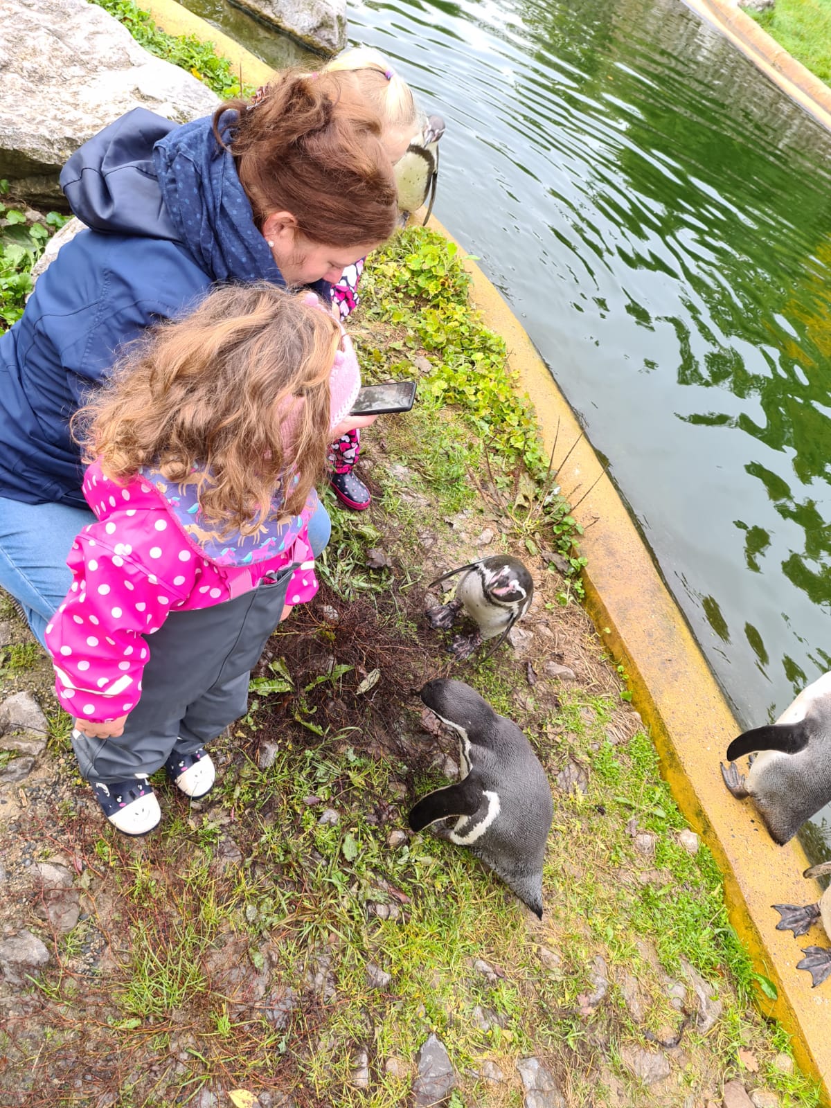 Frau mit lächelndem Kind in Pink am Wasser bei grauen Gänsen