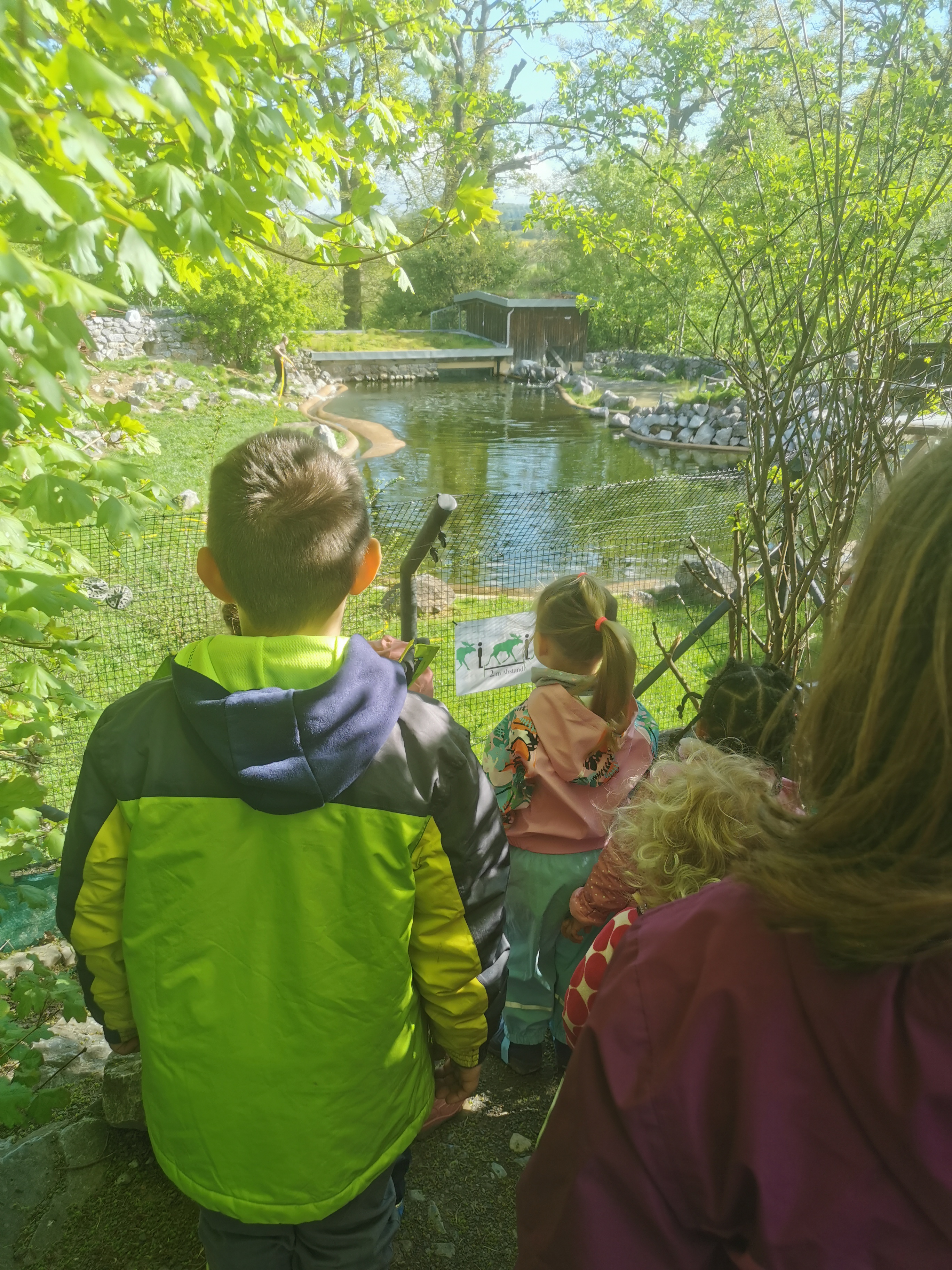 Kinder blicken neugierig auf grünen Teich mit Enten und Steg im Park